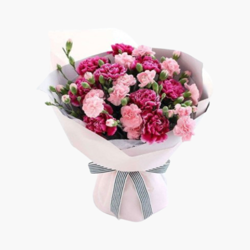 Mini Carnations Spray Bouquet